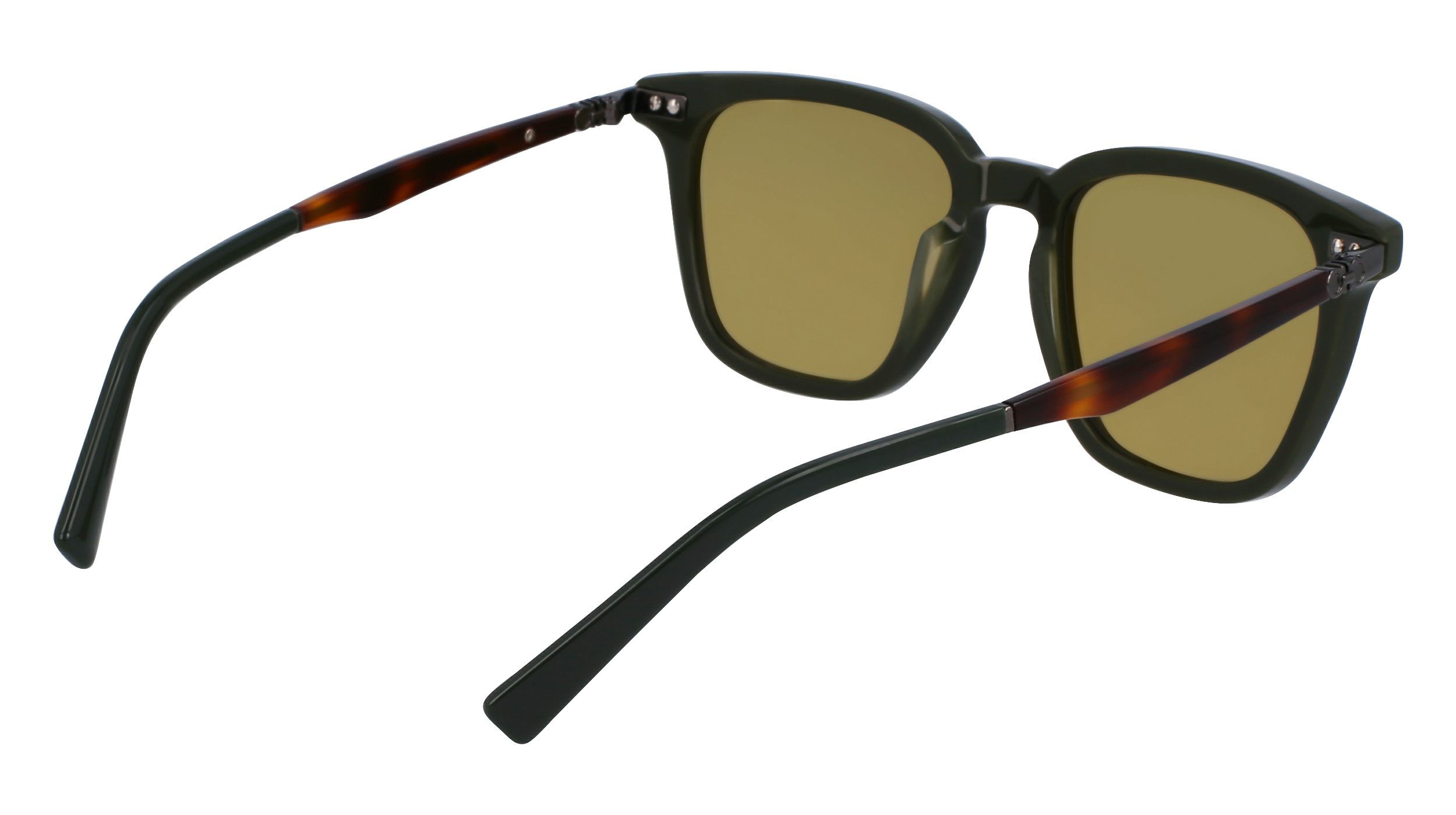 FERRAGAMO Sunglasses SF1100S 302 52