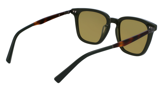 FERRAGAMO Sunglasses SF1100S 302 52