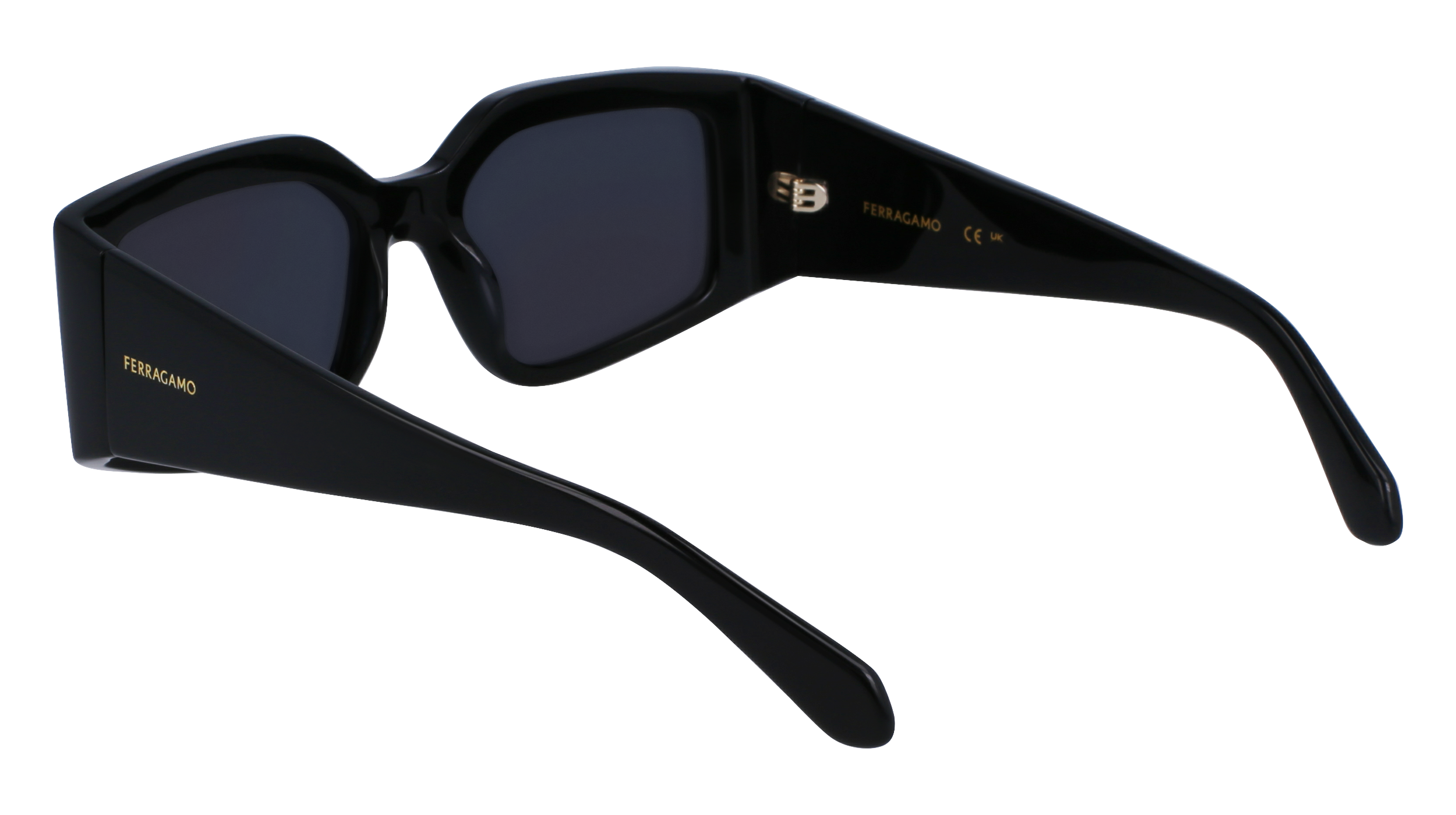 FERRAGAMO Sunglasses SF1101S 1 54