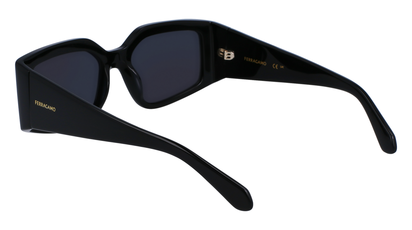 FERRAGAMO Sunglasses SF1101S 1 54