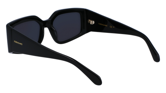 FERRAGAMO Sunglasses SF1101S 1 54