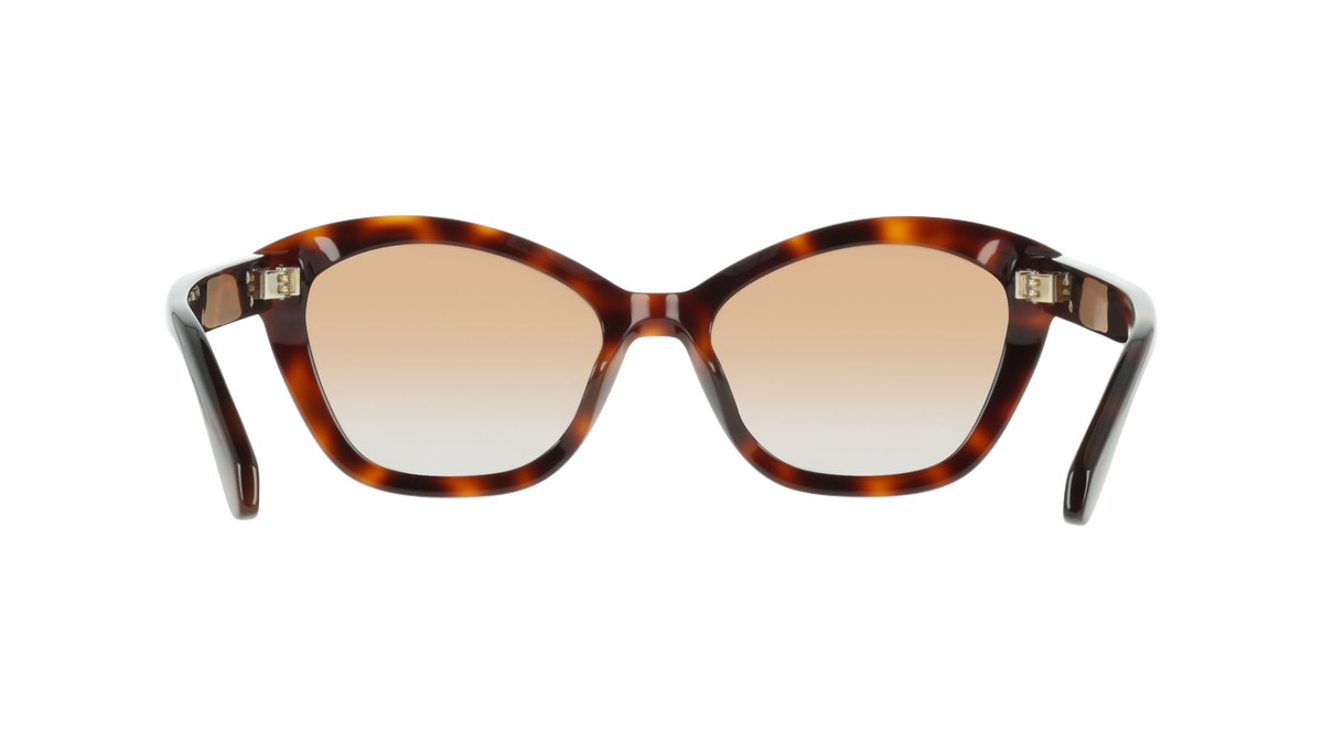 Ferragamo SF2119S 240