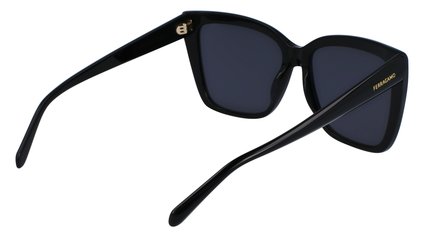 FERRAGAMO Sunglasses SF1102S 1 58