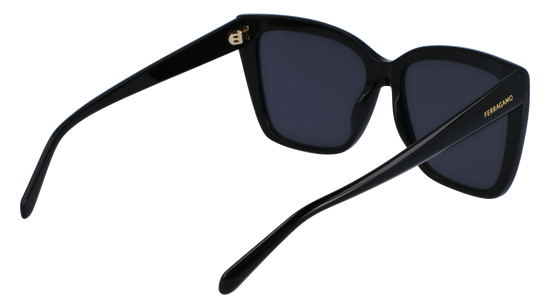 FERRAGAMO Sunglasses SF1102S 1 58