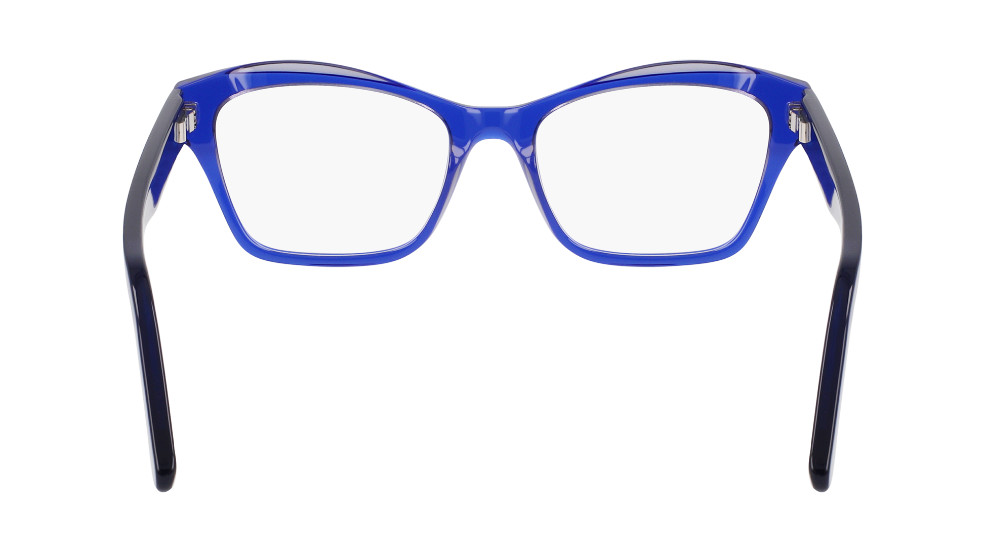 FERRAGAMO Eyeglasses SF2951N 435 53