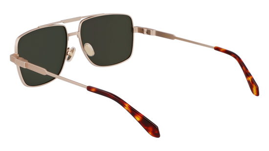 FERRAGAMO Sunglasses SF318S 710 60