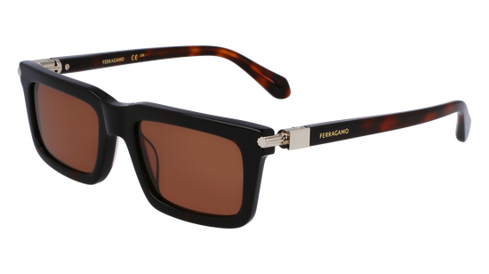 FERRAGAMO Sunglasses SF2015S 242 53