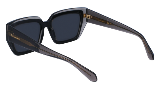 FERRAGAMO Sunglasses SF2002S 24 55