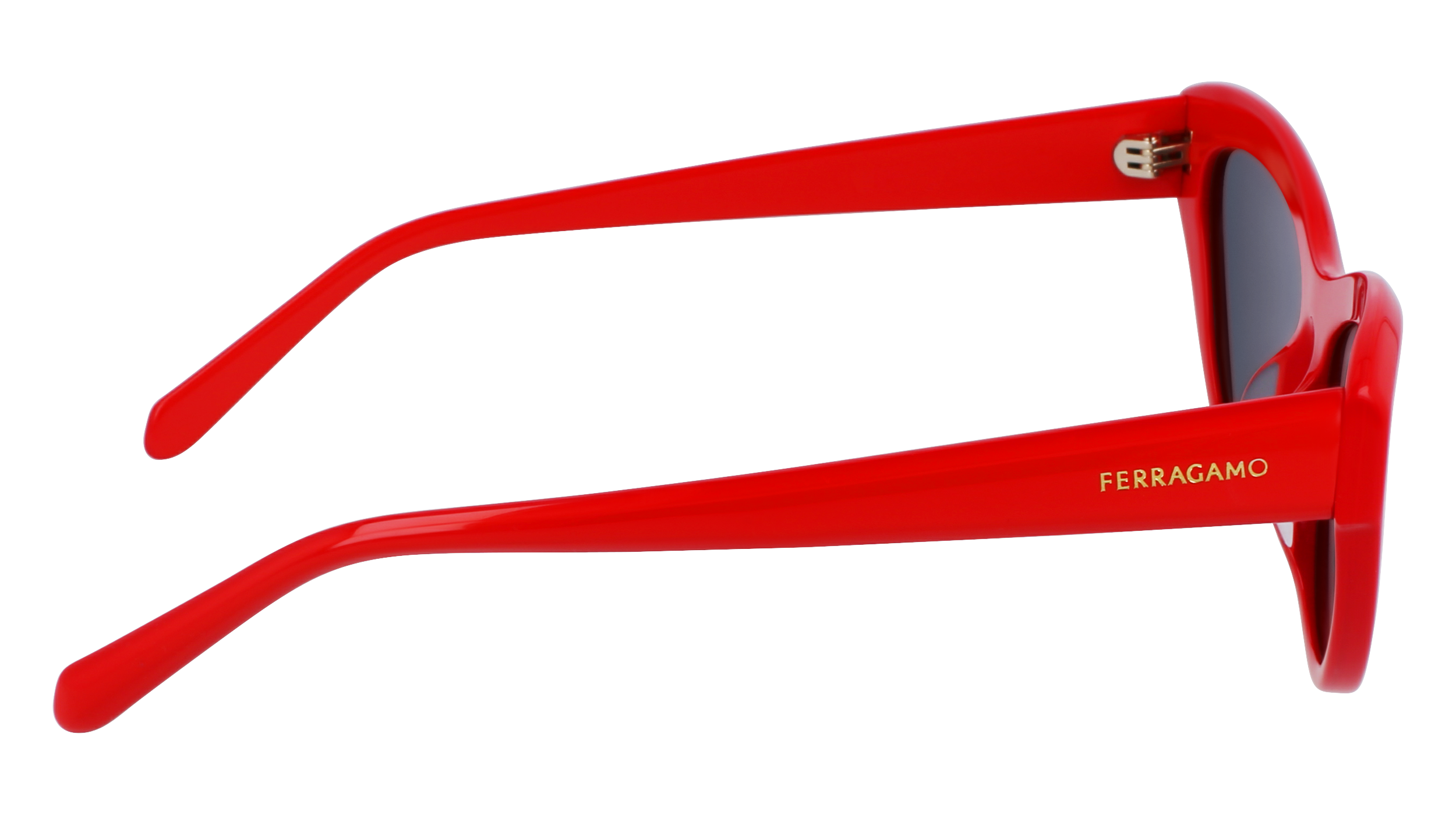 FERRAGAMO Sunglasses SF1103S 600 55