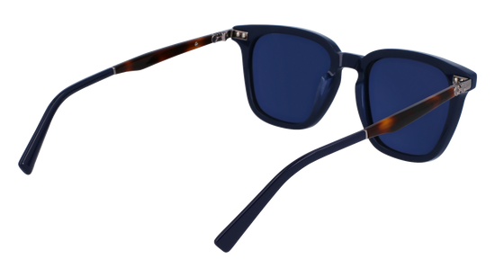 FERRAGAMO Sunglasses SF1100S 414 52