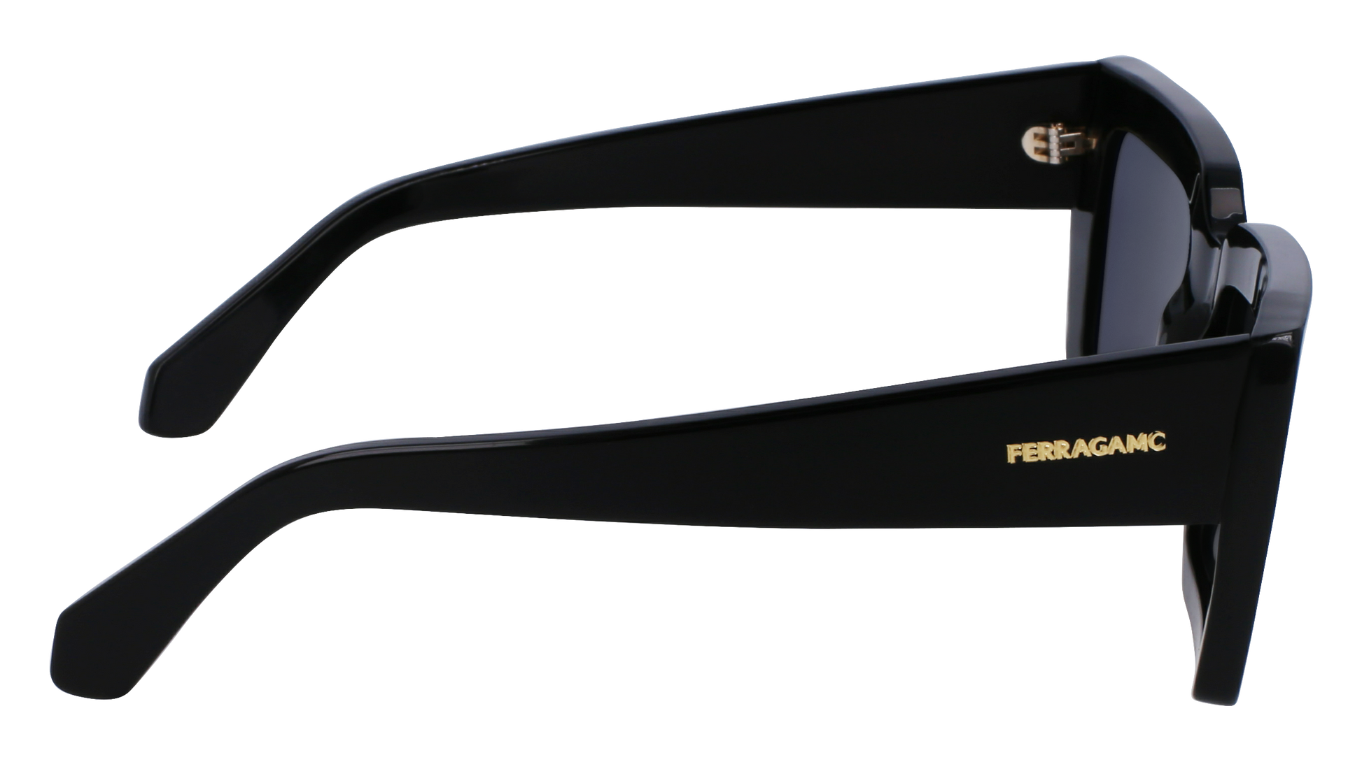 FERRAGAMO Sunglasses SF1108S 1 54