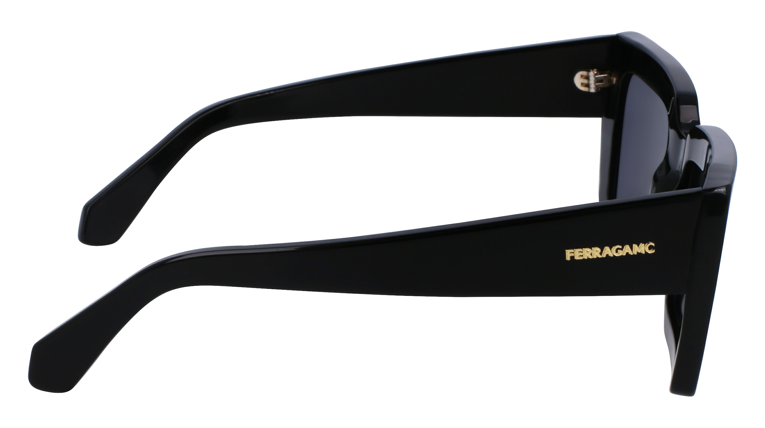 FERRAGAMO Sunglasses SF1108S 1 54
