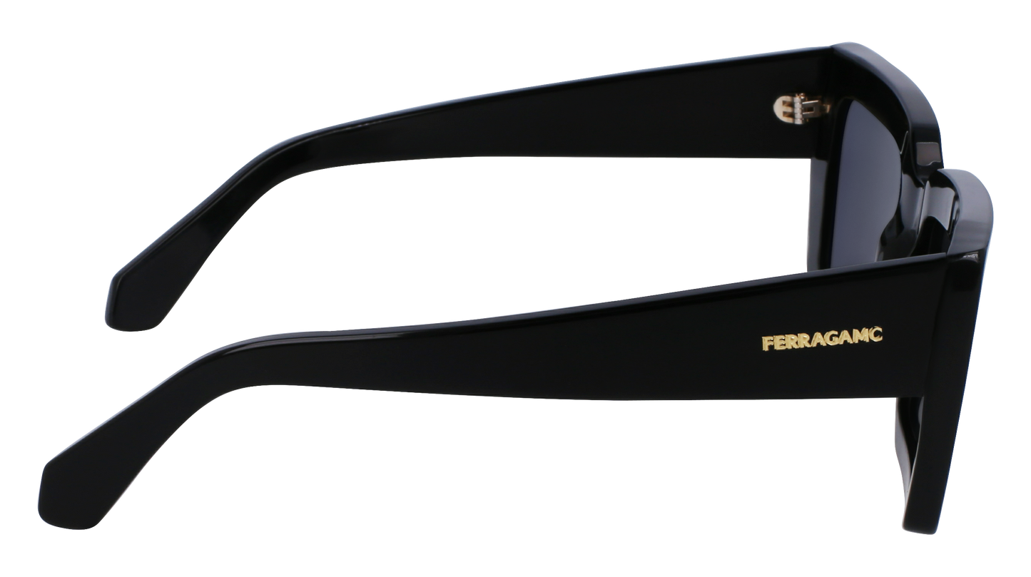 FERRAGAMO Sunglasses SF1108S 1 54