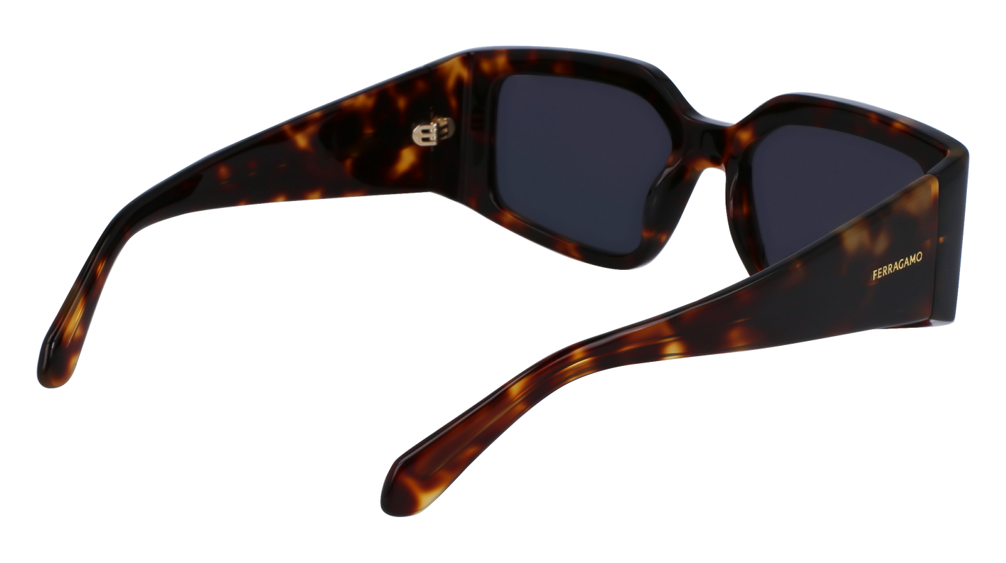 FERRAGAMO Sunglasses SF1101S 242 54