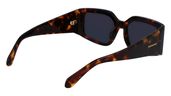 FERRAGAMO Sunglasses SF1101S 242 54