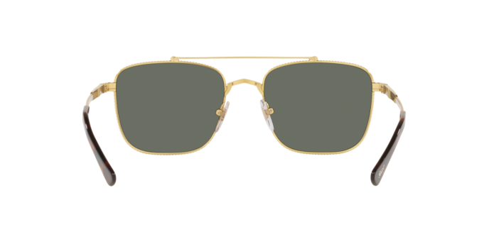 Persol Sunglasses PO2487S 1110B1