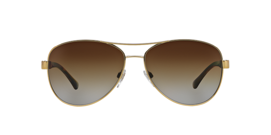 Be3080 polarized shop