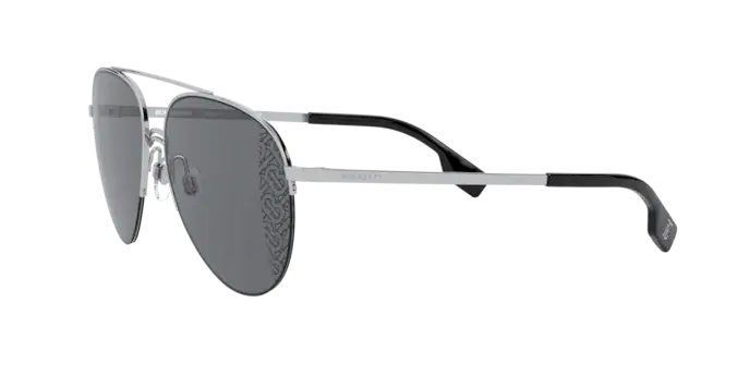 Burberry Ferry Sunglasses BE3113 100587