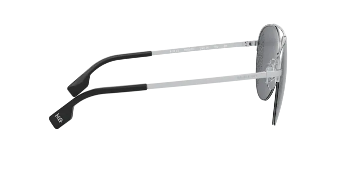 Burberry Ferry Sunglasses BE3113 100587