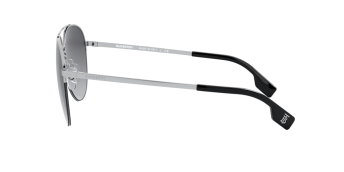 Burberry Ferry Sunglasses BE3113 13038G
