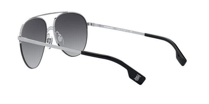 Burberry Ferry Sunglasses BE3113 13038G