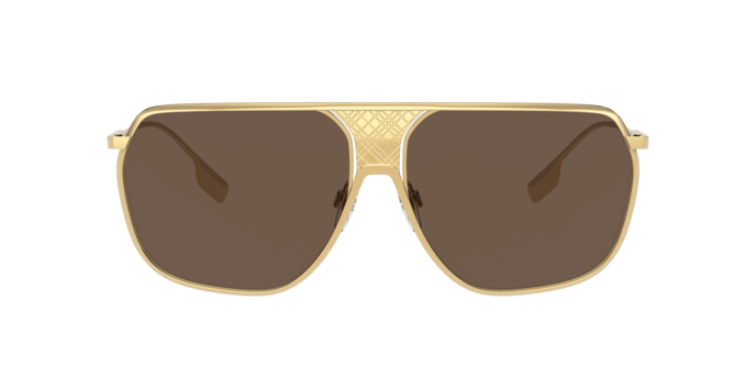 Burberry Adam Sunglasses BE3120 101773