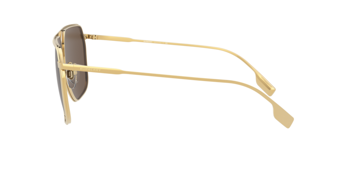 Burberry Adam Sunglasses BE3120 101773