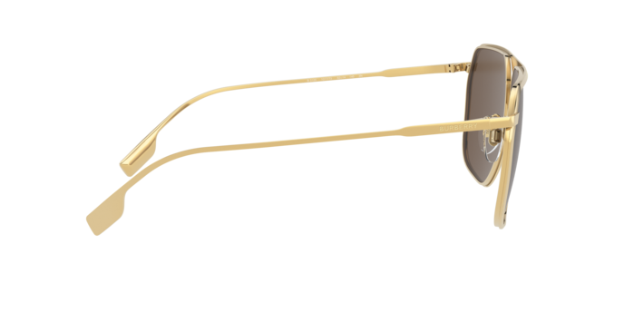 Burberry Adam Sunglasses BE3120 101773