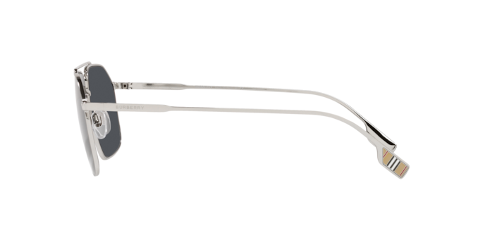 Burberry Webb Sunglasses BE3130 100587