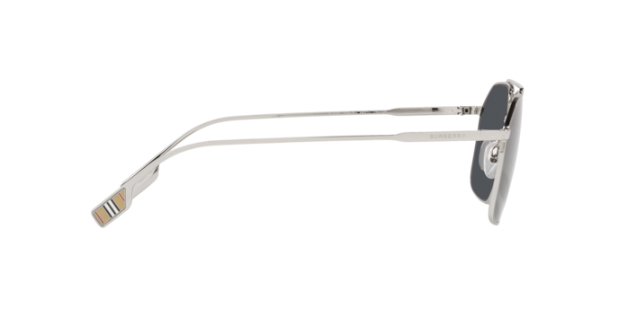 Burberry Webb Sunglasses BE3130 100587