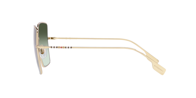 Burberry Daphne Sunglasses BE3133 11098E