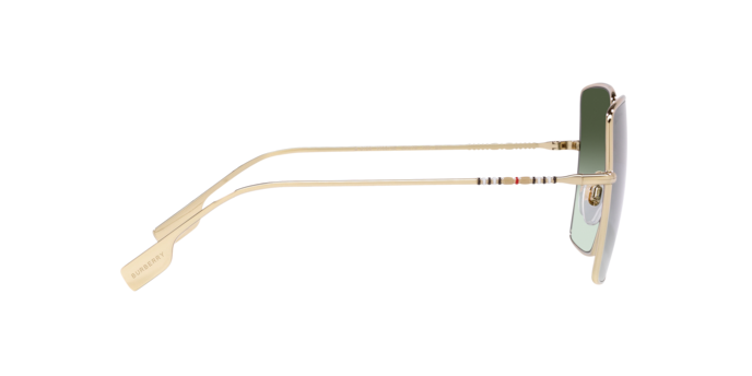 Burberry Daphne Sunglasses BE3133 11098E