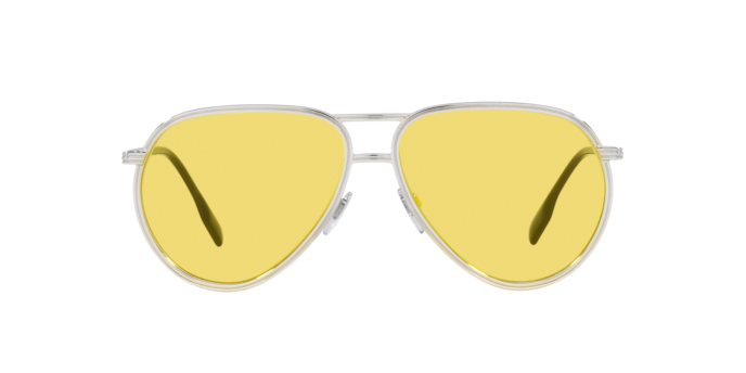 Burberry Scott Sunglasses BE3135 100585