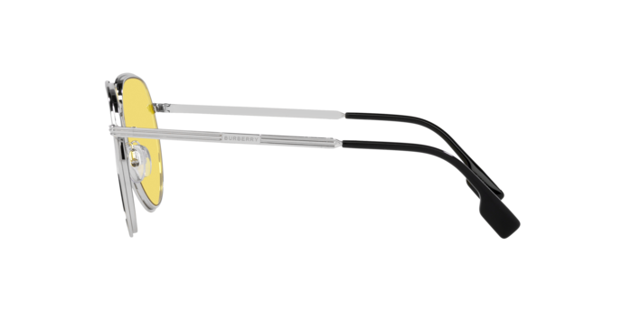 Burberry Scott Sunglasses BE3135 100585