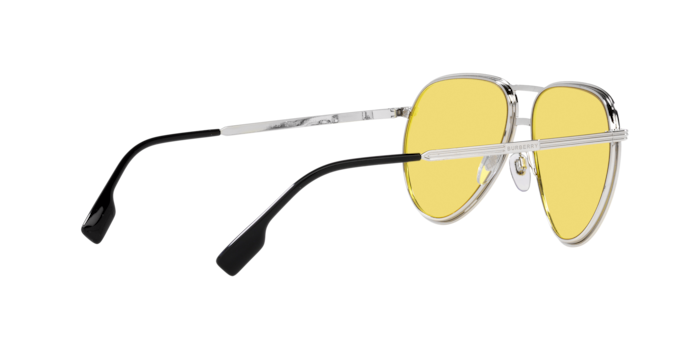 Burberry Scott Sunglasses BE3135 100585