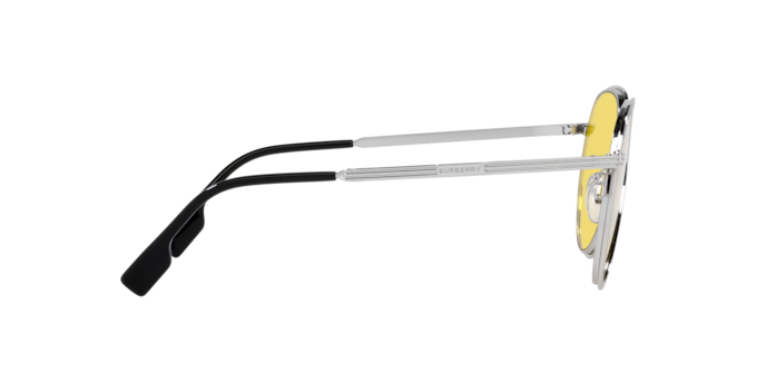 Burberry Scott Sunglasses BE3135 100585