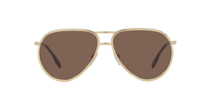 Burberry Scott Sunglasses BE3135 110973