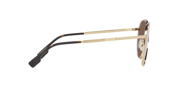 Burberry Scott Sunglasses BE3135 110973