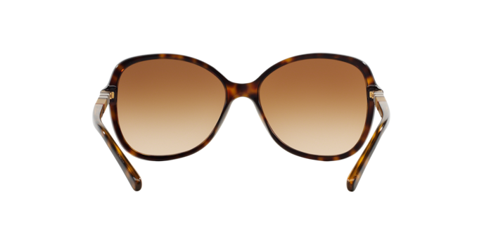 Burberry Sunglasses BE4197 300213