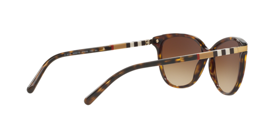 Burberry Sunglasses BE4216 300213