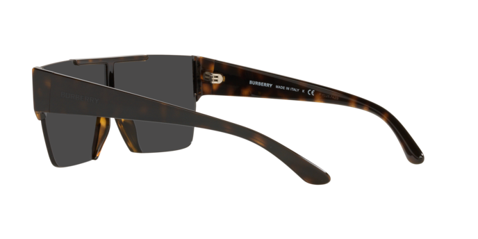 Burberry Sunglasses BE4291 300287