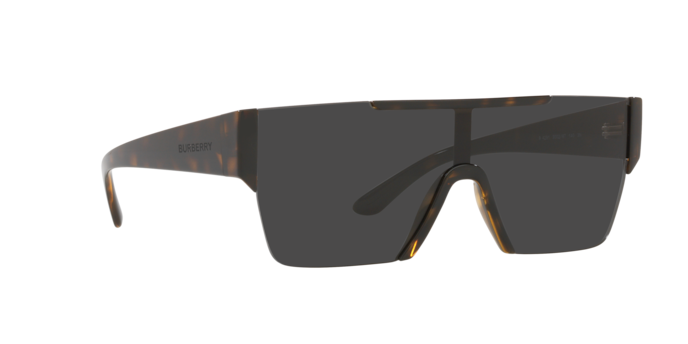 Burberry Sunglasses BE4291 300287