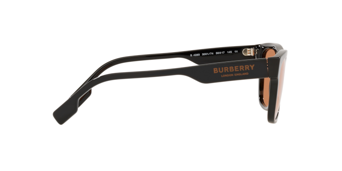 Burberry Sunglasses BE4293 300174