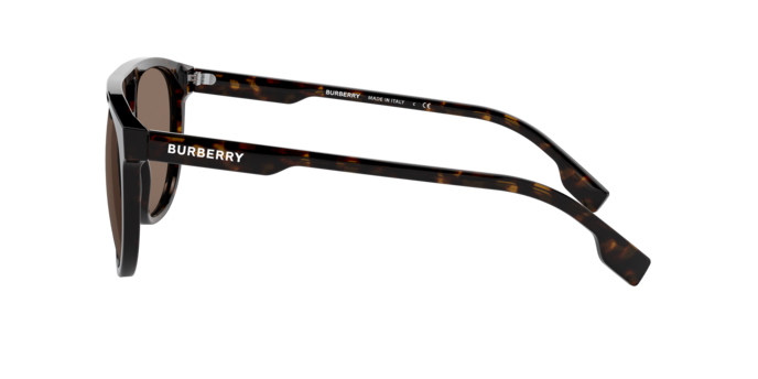 Burberry Foxcote Sunglasses BE4302 300273