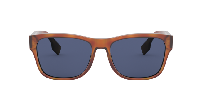 Burberry Carter Sunglasses BE4309 386180