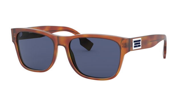 Burberry Carter Sunglasses BE4309 386180