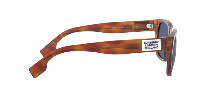 Burberry Carter Sunglasses BE4309 386180