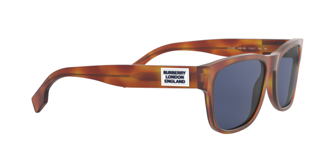 Burberry Carter Sunglasses BE4309 386180