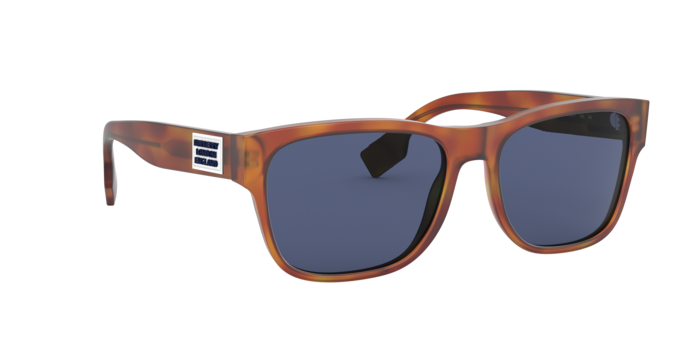 Burberry Carter Sunglasses BE4309 386180