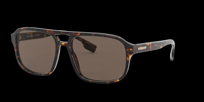 Burberry Francis Sunglasses BE4320 300273